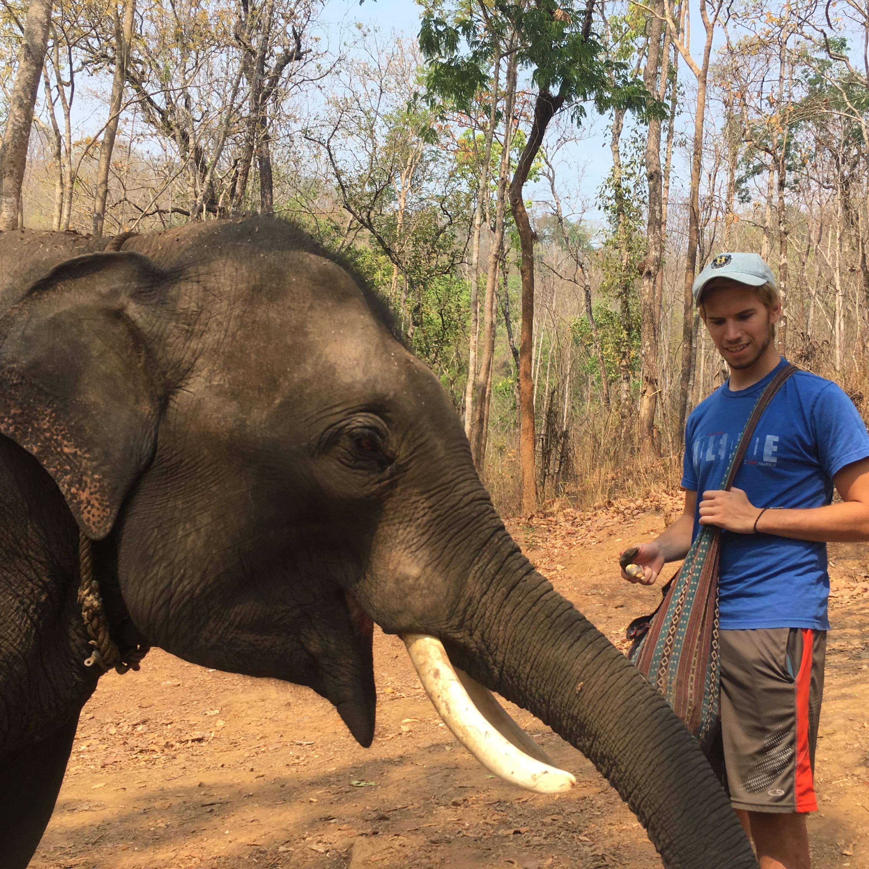 Thailand Elephant sanctuary